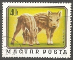 Stamps Hungary -  Sus scrofa-jabali
