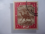 Stamps : Africa : Sudan :  Cartero en Dromedario - Sudan Postage - Camel.