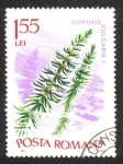 Stamps Romania -  Plantas Acuáticas