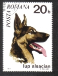 Stamps Romania -  Perros 71, German Shepherd (Canis lupus familiaris)