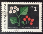 Stamps Bulgaria -  Espino