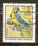 Sellos de Europa - Alemania -  Ararauna,jardín zoológico en Magdeburgo (DDR).