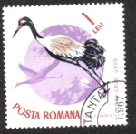 Stamps Romania -  Pájaros