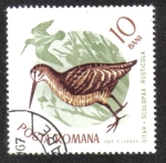 Stamps Romania -  Pájaros