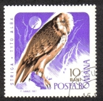 Stamps Romania -  Pájaros