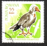 Stamps : Europe : Romania :  Pájaros