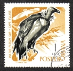 Stamps : Europe : Romania :  Pájaros