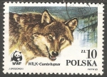 Stamps Poland -  Canis lupus-lobo