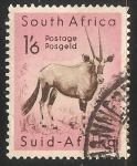 Stamps South Africa -  Captown Gemsbock-