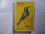 Stamps Israel -  Fauna: Cinnyris Osea.