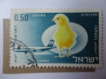 Stamps Israel -  CHICHS - Airmail Expost. (Mi/Is:409)