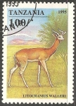 Sellos de Africa - Tanzania -  Litocranius walleri-gacela jirafa 