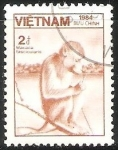 Sellos del Mundo : Asia : Vietnam : Macaca fscicularis-macaco cangrejero