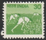 Stamps India -  Recogida de arroz