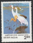 Stamps : Asia : India :  Grullas siberianas, pintura de Diane Pierce