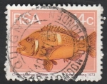 Stamps South Africa -  Pez, chrysobldphus laticeps