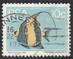 Stamps South Africa -  Pez, zanclus cornutus