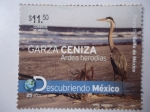 Stamps Mexico -  Garza Ceniza - Ardea Herodias - serie: Descubriendo México.