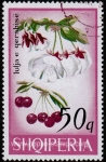 Sellos de Europa - Albania -  Frutas del bosque