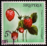 Stamps Albania -  SG 1501
