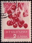 Stamps Bulgaria -  SG 1024