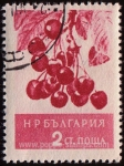 Sellos de Europa - Bulgaria -  SG 1024