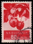 Sellos de Europa - Bulgaria -  SG 1027