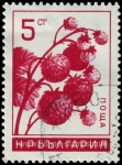 Stamps Bulgaria -  SG 1053