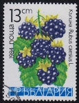 Stamps Bulgaria -  SG 3144