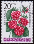 Stamps Bulgaria -  SG 3145