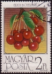 Stamps Hungary -  SG 3722