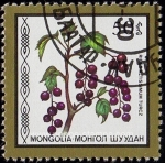 Stamps Mongolia -  SG 1852