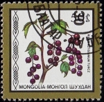 Sellos del Mundo : Asia : Mongolia : SG 1852