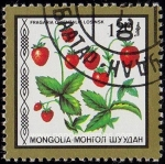 Stamps Mongolia -  SG 1855