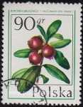 Stamps Poland -  SG 2475