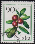 Sellos de Europa - Polonia -  SG 2475