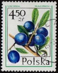Stamps Poland -  SG 2479