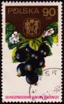 Stamps Poland -  SG 2317