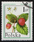 Stamps Poland -  SG 2476