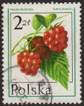Sellos de Europa - Polonia -  SG 2478