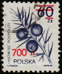 Sellos de Europa - Polonia -  SG 3289