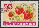 Stamps Romania -  SG 3044