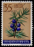 Stamps Yugoslavia -  SG 933