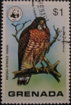 Stamps : America : Grenada :  Wild Birds of Grenada and Wildlife Fund Emblem