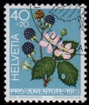 Stamps Switzerland -  SG j243