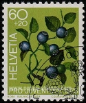 Stamps Switzerland -  SG j244