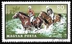 Stamps Hungary -  Carrera Hípica