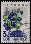 Stamps Russia -  SG 3071