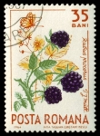 Stamps Romania -  SG 3230