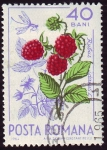 Sellos de Europa - Rumania -  SG 3231